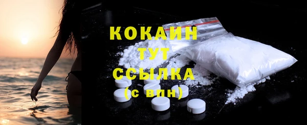 тгк Пересвет