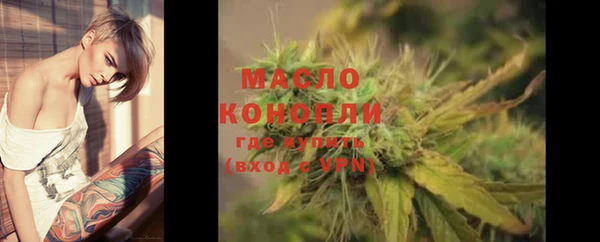 тгк Пересвет