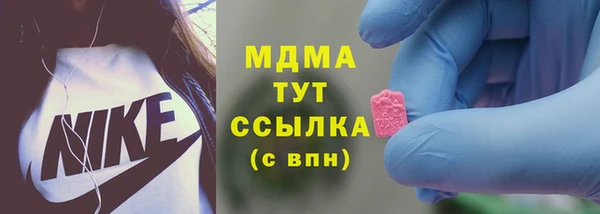 тгк Пересвет