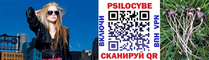Галлюциногенные грибы мицелий  где найти   блэк спрут вход  Заполярный 